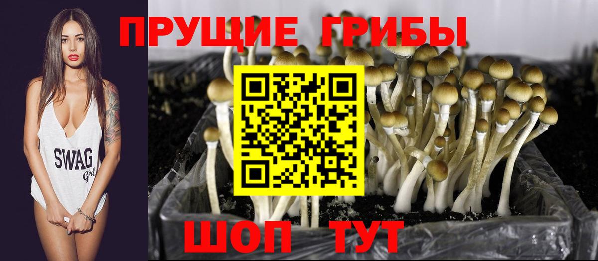 Галлюциногенные грибы мухоморы  Вход с VPN  Псилоцибиновые грибы Magic Shrooms  Владимир 